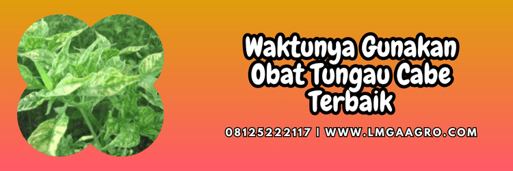 jual,murah,terjangkau,toko pertanian terdekat,lmga agro