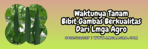 jual,murah,terjangkau,toko pertanian terdekat,lmga agro