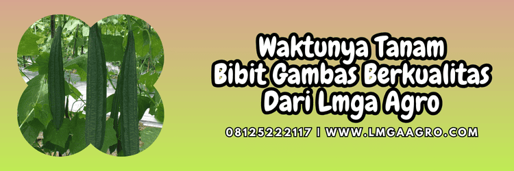 jual,murah,terjangkau,toko pertanian terdekat,lmga agro