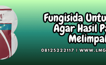 fungisida untuk cabe,fungisida,cabe,cabai,lmga agro