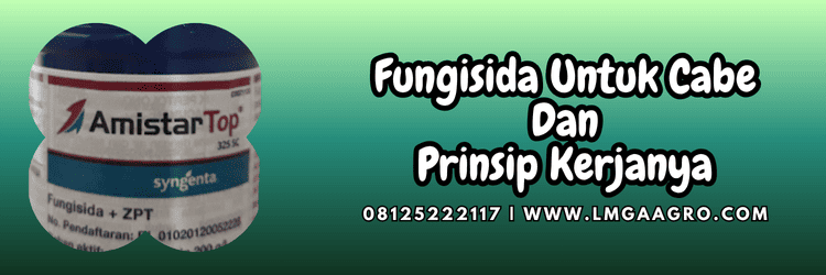pestisida,pestisida jenis fungisida,jamur,patogen,cendawan,tanaman,budidaya,petani,lmga agro,pestisida jenis fungisida