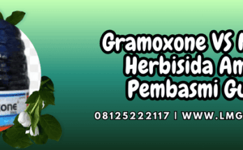 gramoxone vs noxone,gramoxone 276 sl,noxone 297 sl,herbisida,lmga agro