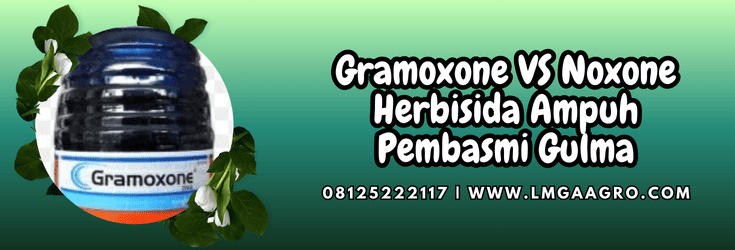 gramoxone vs noxone,gramoxone 276 sl,noxone 297 sl,herbisida,lmga agro
