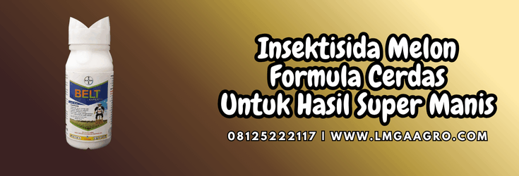 insektisida melon,insektisida,melon,pestisida,lmga agro