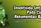 insektisida untuk tungau pada cabe,insektisida,tungau,cabe,lmga agro
