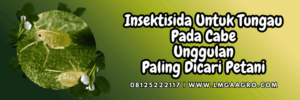 pestisida jenis insektisida,hama serangga,budidaya,budidaya cabe,tanaman cabe,lmga agro