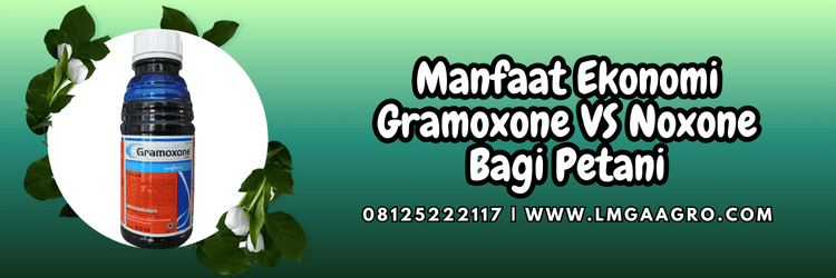 manfaat,penggunaan,pengaplikasian,syngenta,indotani,cap kapal terbang,lmga agro