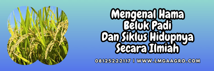 produk,pestisida,insektisida,hama,tanaman,lmga agro