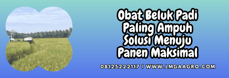 obat beluk padi paling ampuh,obat,beluk,padi,lmga agro