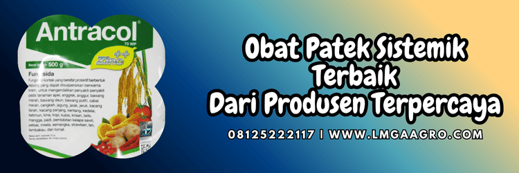 pestisida,fungisida,pestisida jenis fungisida,penyakit,tanaman,jamur,lmga agro
