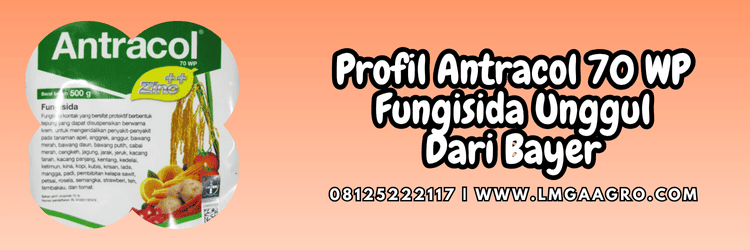profil,produk,pestisida,fungisida,lmga agro