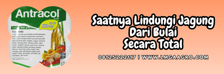 jual,murah,terjangkau,toko pertanian terdekat,lmga agro