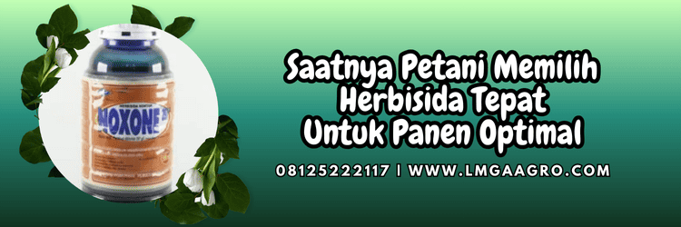 jual,murah,terjangkau,toko pertanian terdekat,lmga agro