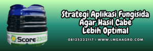 strategi,aplikasi,pengaplikasian,penggunaan,lmga agro