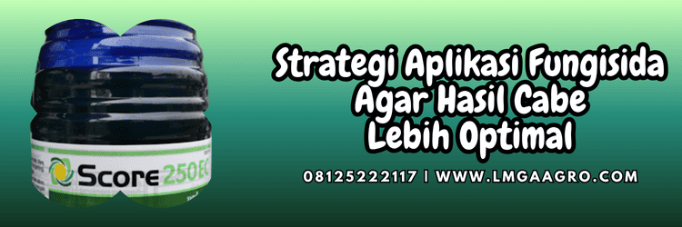 strategi,aplikasi,pengaplikasian,penggunaan,lmga agro