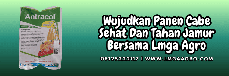 jual,murah,terjangkau,toko pertanian terdekat,lmga agro