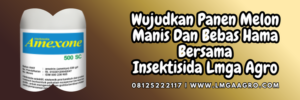jual,murah,terjangkau,toko pertanian terdekat,lmga agro