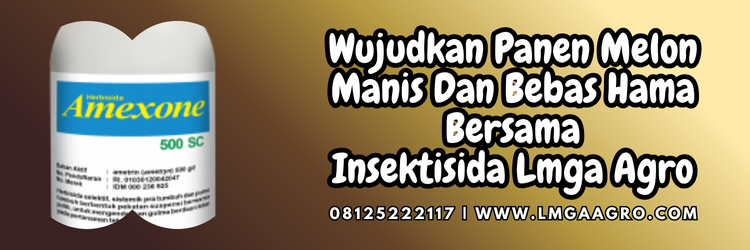 jual,murah,terjangkau,toko pertanian terdekat,lmga agro