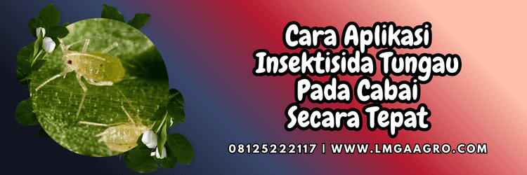 cara,aplikasi,racun serangga,obat,lmga agro