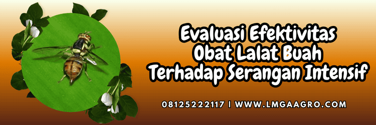 evaluasi,efektivitas,petani,budidaya,tanaman,lmga agro