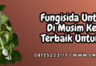 pestisida,pestisida jenis fungisida,patogen,cendawan,lmga agro