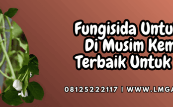 pestisida,pestisida jenis fungisida,patogen,cendawan,lmga agro