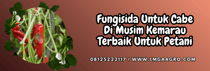 pestisida,pestisida jenis fungisida,patogen,cendawan,lmga agro