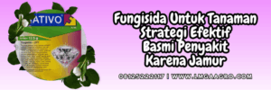 fungisida untuk tanaman,fungisida,tanaman,pestisida,lmga agro