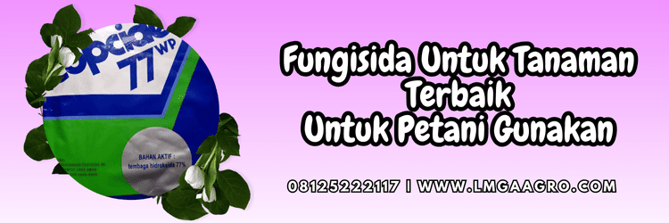 pestisida jenis fungisida,penyakit,jamur,cendawan,lmga agro