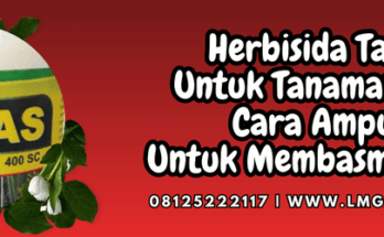 herbisida tabas untuk tanaman padi,herbisida,tabas,tanaman,padi,lmga agro