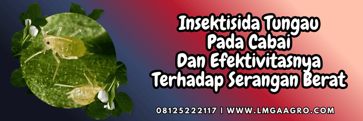 pestisida,pestisida jenis insektisida,hama,serangga,lmga agro