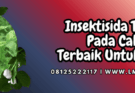 insektisida tungau pada cabai,insektisida,tungau,cabai,lmga agro