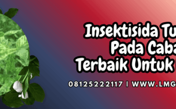 insektisida tungau pada cabai,insektisida,tungau,cabai,lmga agro