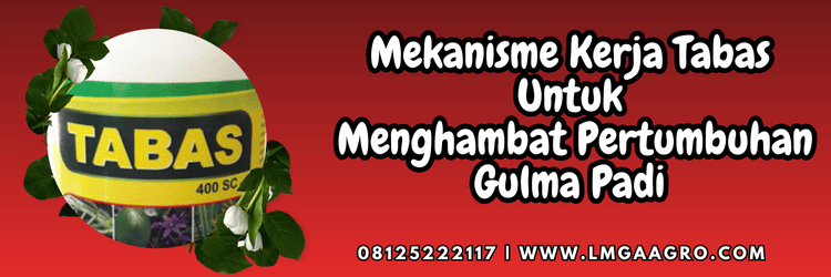 mekanisme,kerja,produk,rumput liar,lmga agro