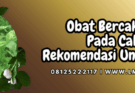 obat bercak daun pada cabai,obat,bercak,daun,lmga agro