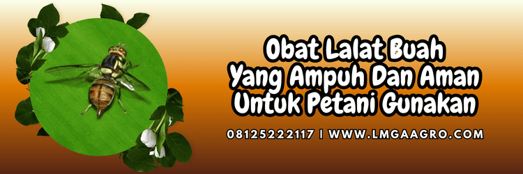 pestisida,insektisida,pestisida jenis insektisida,lalat buah,lmga agro