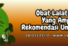 obat lalat buah yang ampuh,obat,lalat,buah,lmga agro