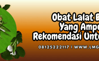obat lalat buah yang ampuh,obat,lalat,buah,lmga agro