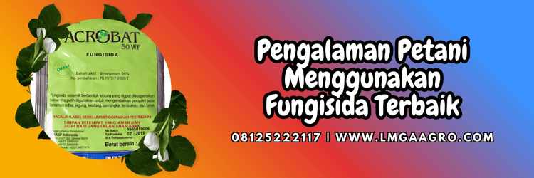 pengalaman,petani,pengaplikasian,fungisida,lmga agro