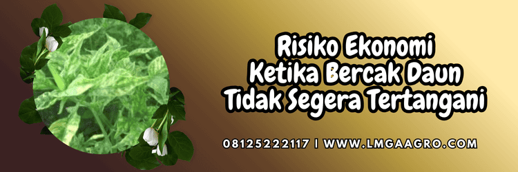 risiko,ekonomi,penyakit,tanaman,lmga agro