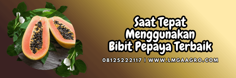 jual,murah,terjangkau,toko pertanian terdekat,lmga agro