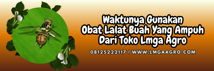jual,murah,terjangkau,toko pertanian terdekat,lmga agro
