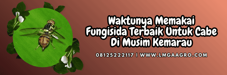 jual,murah,terjangkau,toko pertanian terdekat,lmga agro