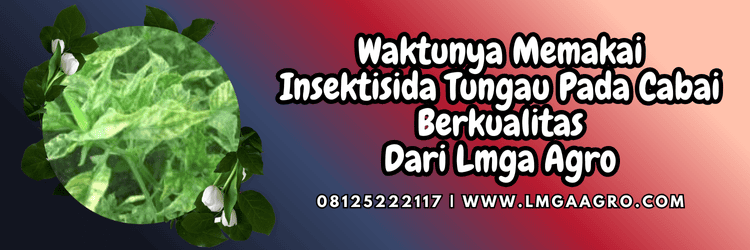 jual,murah,terjangkau,toko pertanian terdekat,lmga agro