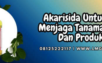 akarisida untuk cabe,akarisida,cabe,cabai,lmga agro
