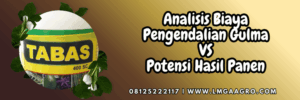 petani,bercocok tanam,budidaya,tanaman,lmga agro