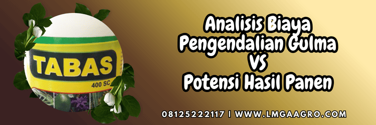 petani,bercocok tanam,budidaya,tanaman,lmga agro