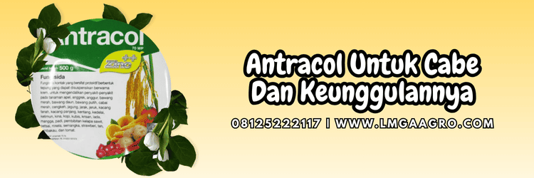 bayer,pestisida,fungisida,pestisida jenis fungisida,lmga agro