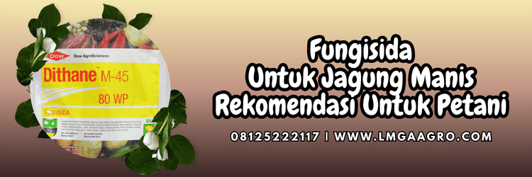 fungisida untuk jagung manis,jual fungisida,pestisida,pestisida jenis fungisida,lmga agro
