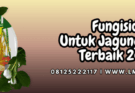 fungisida,jagung,jagung manis,jual fungisida,lmga agro